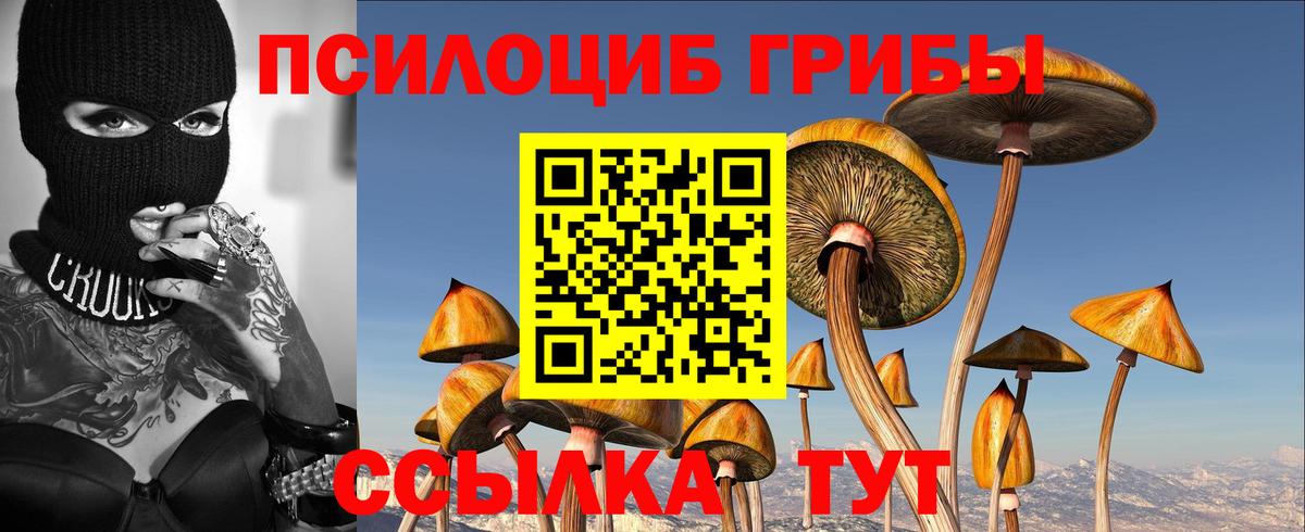 Большой Камень  Галлюциногенные грибы Psilocybe  Вход с VPN 