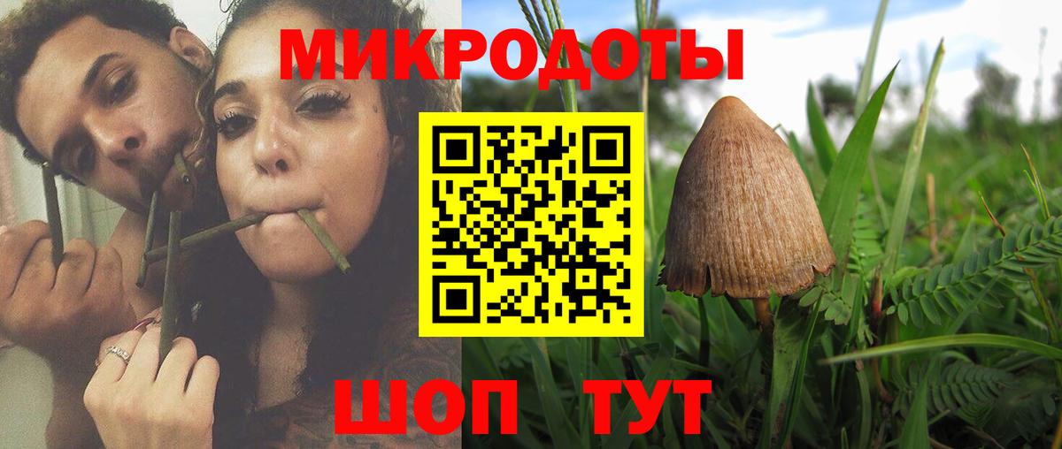Псилоцибиновые грибы Magic Shrooms Большой Камень